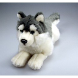 Pies husky 26cm