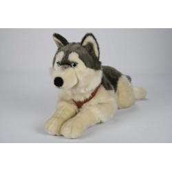 Piesek leżący husky 61cm